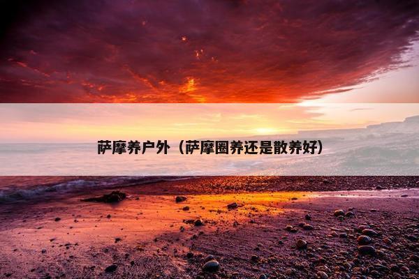 萨摩养户外（萨摩圈养还是散养好）