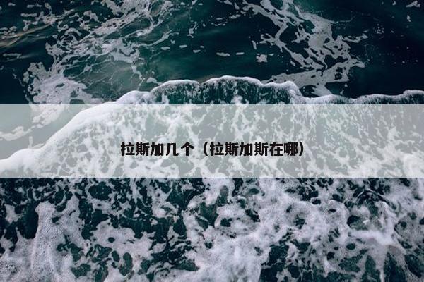 拉斯加几个（拉斯加斯在哪）