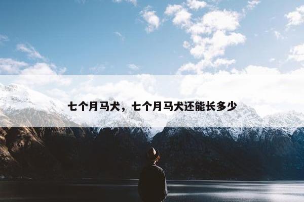 七个月马犬，七个月马犬还能长多少