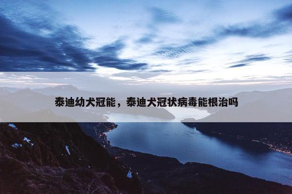 泰迪幼犬冠能，泰迪犬冠状病毒能根治吗