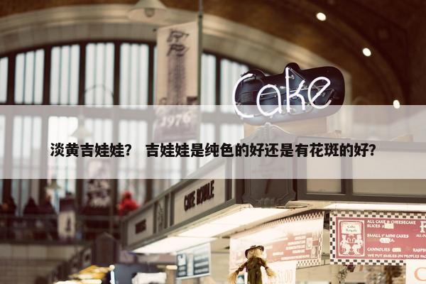 淡黄吉娃娃？ 吉娃娃是纯色的好还是有花斑的好？