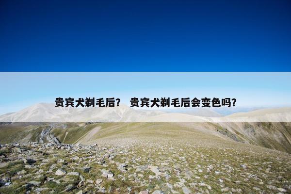 贵宾犬剃毛后？ 贵宾犬剃毛后会变色吗？