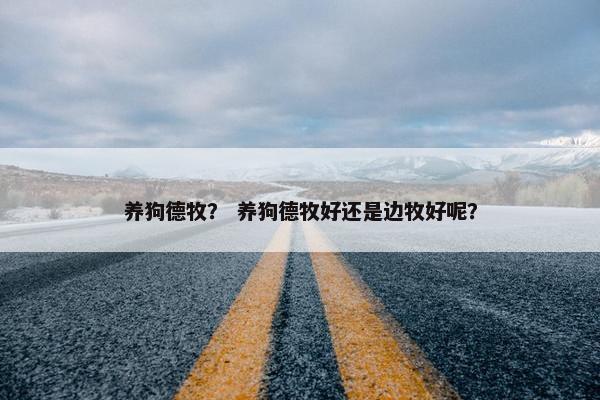 养狗德牧？ 养狗德牧好还是边牧好呢？