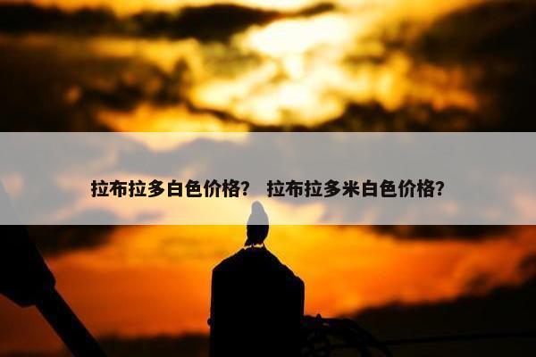 拉布拉多白色价格？ 拉布拉多米白色价格？