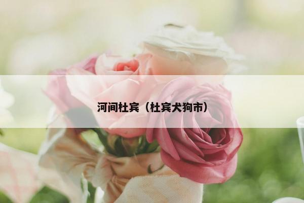 河间杜宾（杜宾犬狗市）