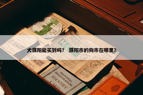 犬濮阳能买到吗？ 濮阳市的狗市在哪里？