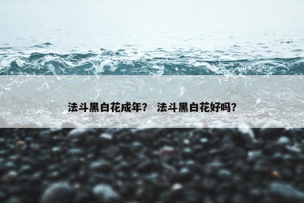 法斗黑白花成年？ 法斗黑白花好吗？