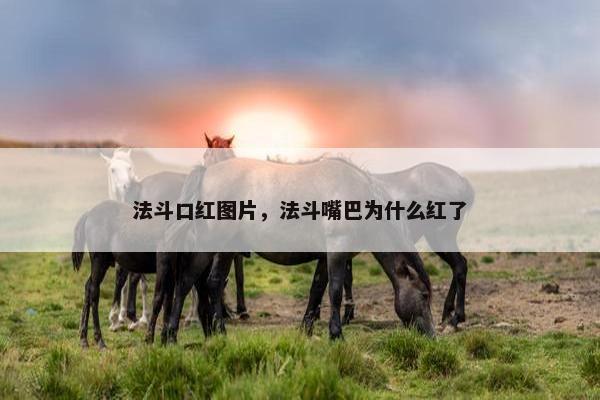 法斗口红图片，法斗嘴巴为什么红了
