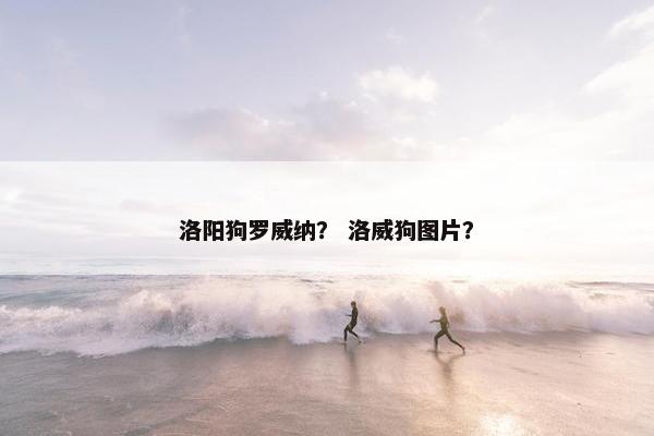 洛阳狗罗威纳？ 洛威狗图片？