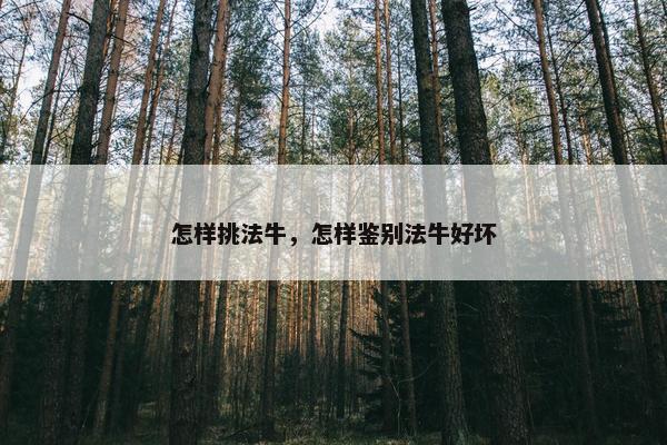 怎样挑法牛，怎样鉴别法牛好坏