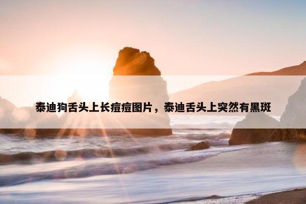 泰迪狗舌头上长痘痘图片，泰迪舌头上突然有黑斑