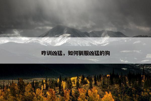 咋训凶猛，如何驯服凶猛的狗