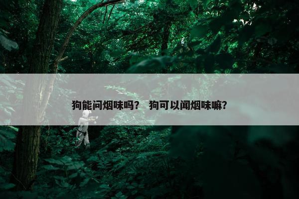 狗能问烟味吗？ 狗可以闻烟味嘛？
