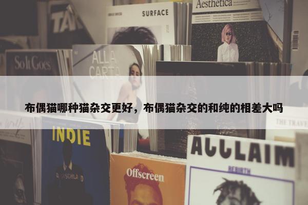 布偶猫哪种猫杂交更好，布偶猫杂交的和纯的相差大吗