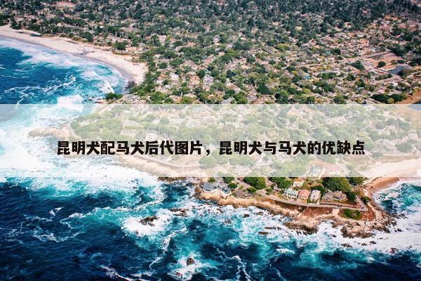 昆明犬配马犬后代图片，昆明犬与马犬的优缺点