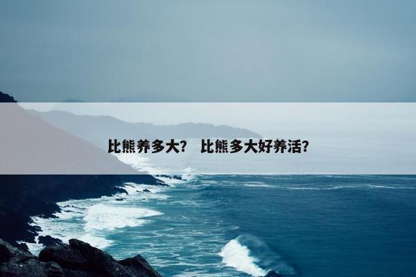 比熊养多大？ 比熊多大好养活？