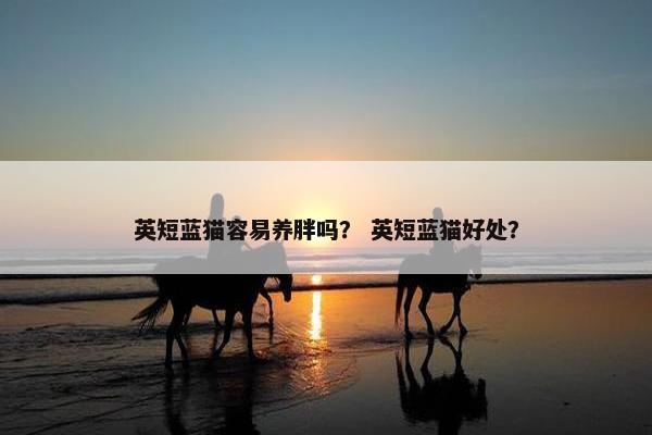 英短蓝猫容易养胖吗？ 英短蓝猫好处？