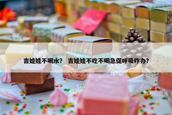 吉娃娃不喝水？ 吉娃娃不吃不喝急促呼吸咋办？