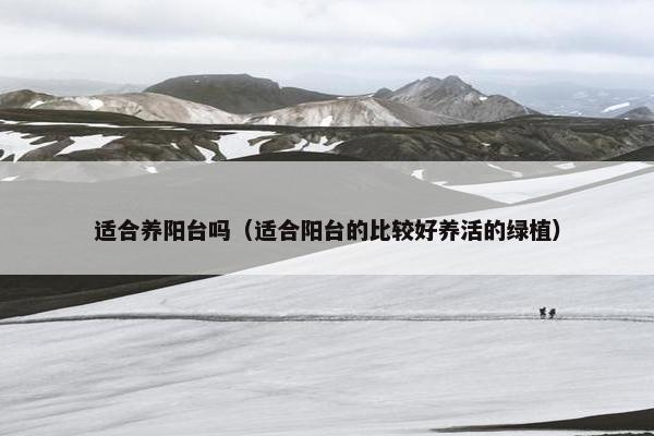 适合养阳台吗（适合阳台的比较好养活的绿植）