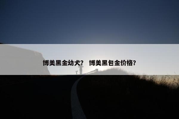 博美黑金幼犬？ 博美黑包金价格？