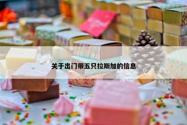 关于出门带五只拉斯加的信息