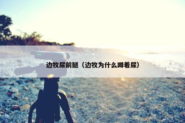 边牧尿前腿（边牧为什么蹲着尿）