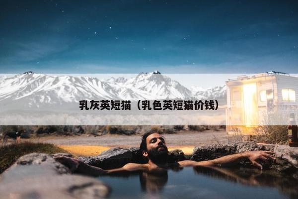 乳灰英短猫（乳色英短猫价钱）