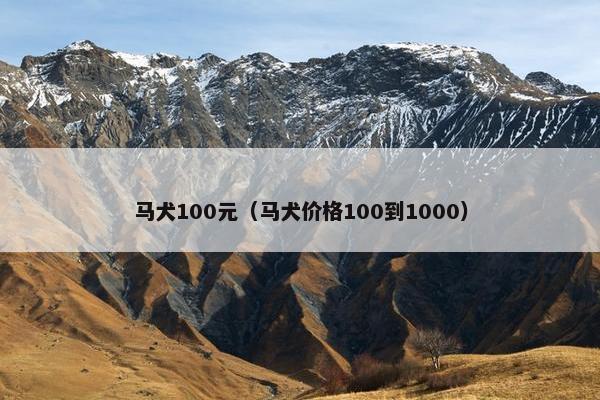 马犬100元（马犬价格100到1000）