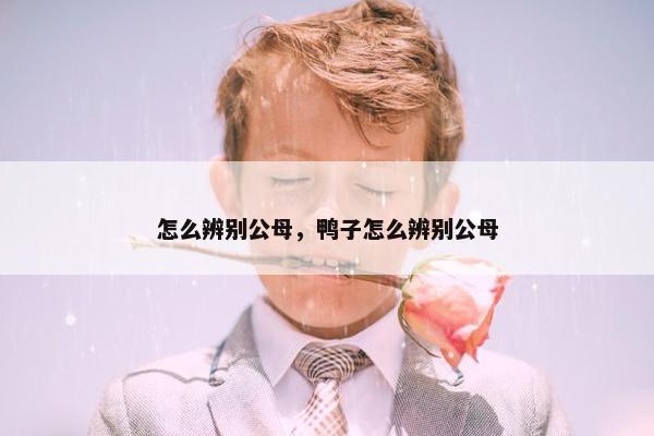 怎么辨别公母，鸭子怎么辨别公母