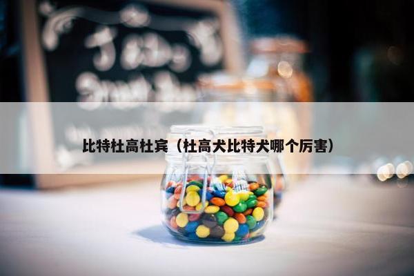 比特杜高杜宾（杜高犬比特犬哪个厉害）