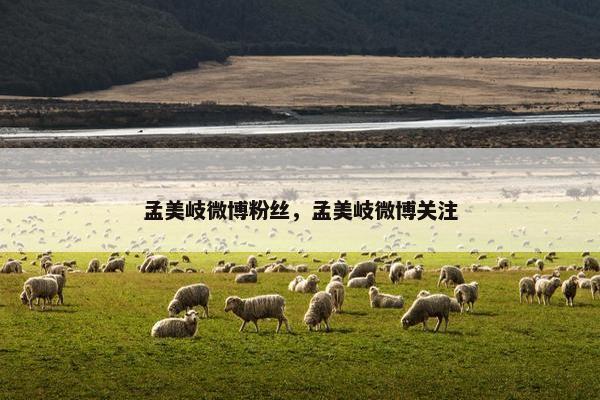 孟美岐微博粉丝，孟美岐微博关注