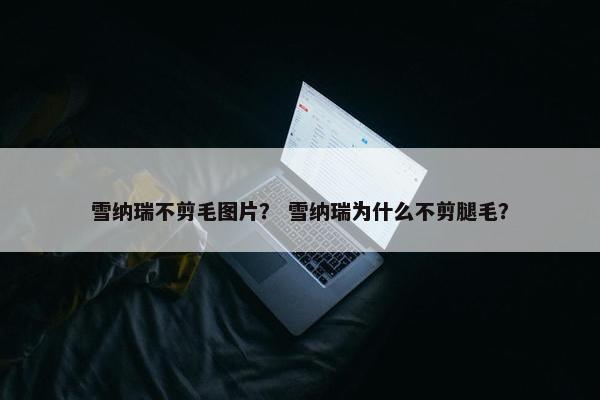 雪纳瑞不剪毛图片？ 雪纳瑞为什么不剪腿毛？