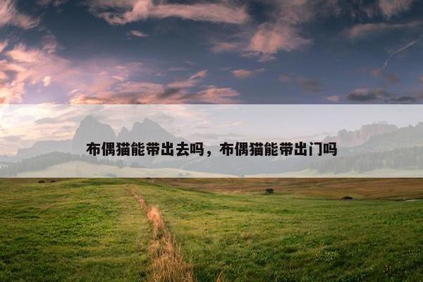 布偶猫能带出去吗，布偶猫能带出门吗