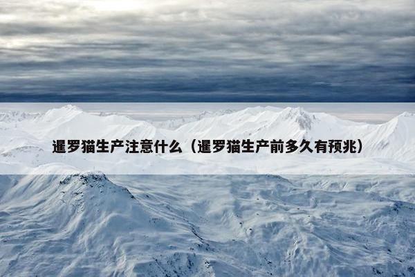 暹罗猫生产注意什么（暹罗猫生产前多久有预兆）