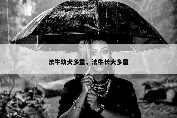 法牛幼犬多重，法牛长大多重