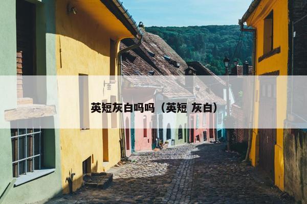 英短灰白吗吗（英短 灰白）