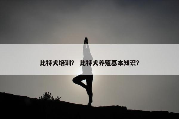 比特犬培训？ 比特犬养殖基本知识？