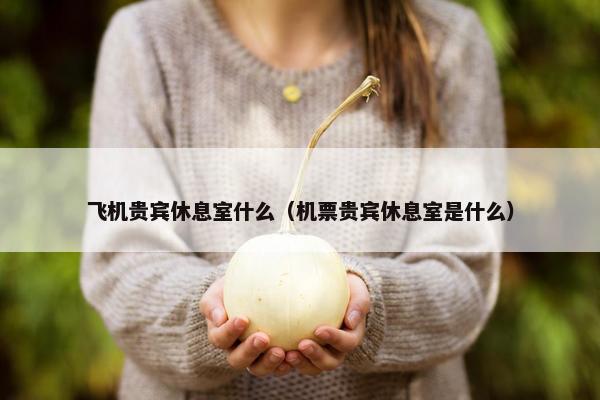 飞机贵宾休息室什么（机票贵宾休息室是什么）