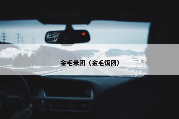 金毛米团（金毛饭团）