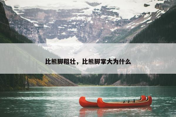 比熊脚粗壮，比熊脚掌大为什么