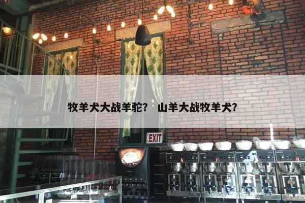 牧羊犬大战羊驼？ 山羊大战牧羊犬？