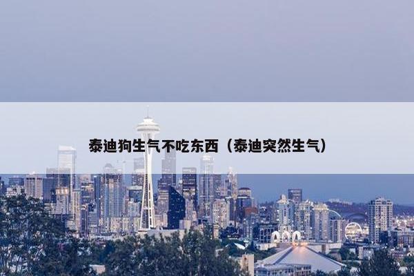 泰迪狗生气不吃东西（泰迪突然生气）