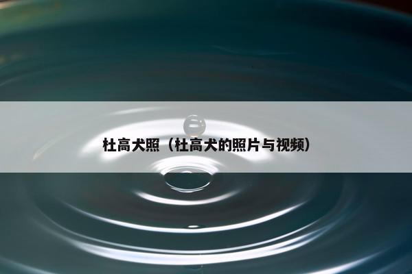 杜高犬照（杜高犬的照片与视频）