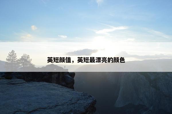 英短颜值，英短最漂亮的颜色