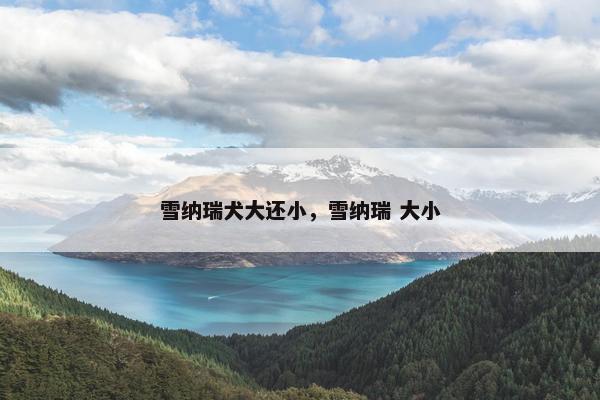 雪纳瑞犬大还小，雪纳瑞 大小
