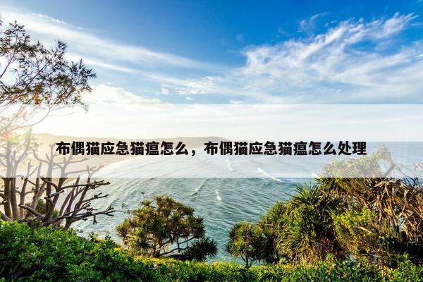 布偶猫应急猫瘟怎么，布偶猫应急猫瘟怎么处理