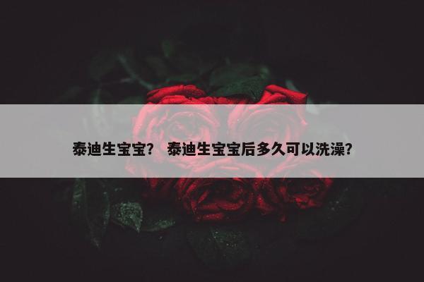泰迪生宝宝？ 泰迪生宝宝后多久可以洗澡？
