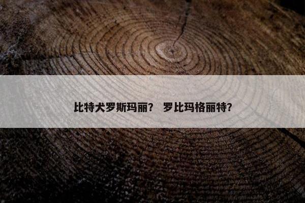 比特犬罗斯玛丽？ 罗比玛格丽特？