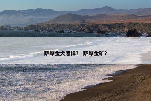 萨摩金犬怎样？ 萨摩金矿？