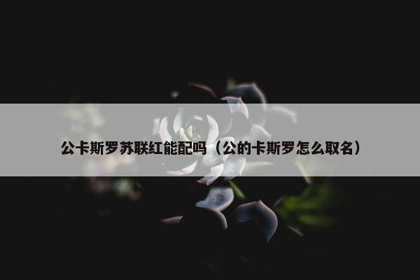 公卡斯罗苏联红能配吗（公的卡斯罗怎么取名）